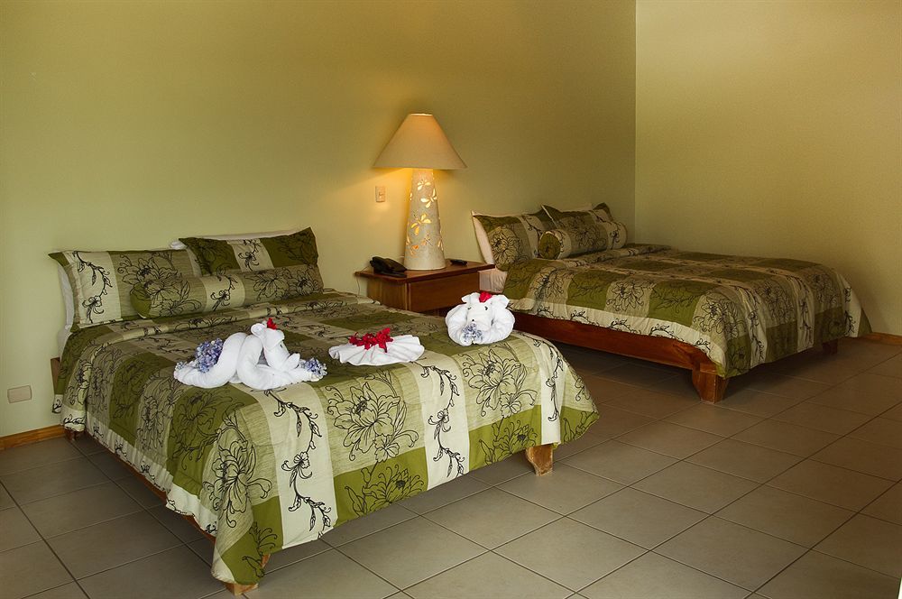 Ficus Lodge Монте-Верде Экстерьер фото